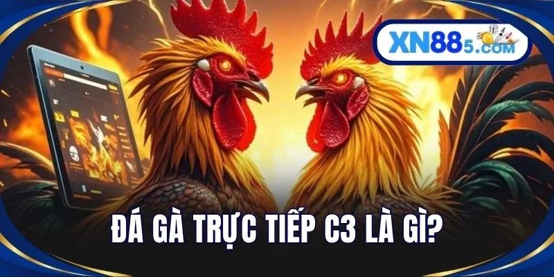 Đá gà trực tiếp C3 là gì?