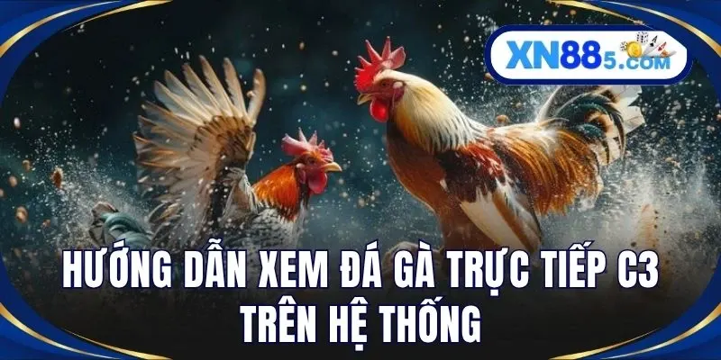 Hướng dẫn xem đá gà trực tiếp C3 trên hệ thống